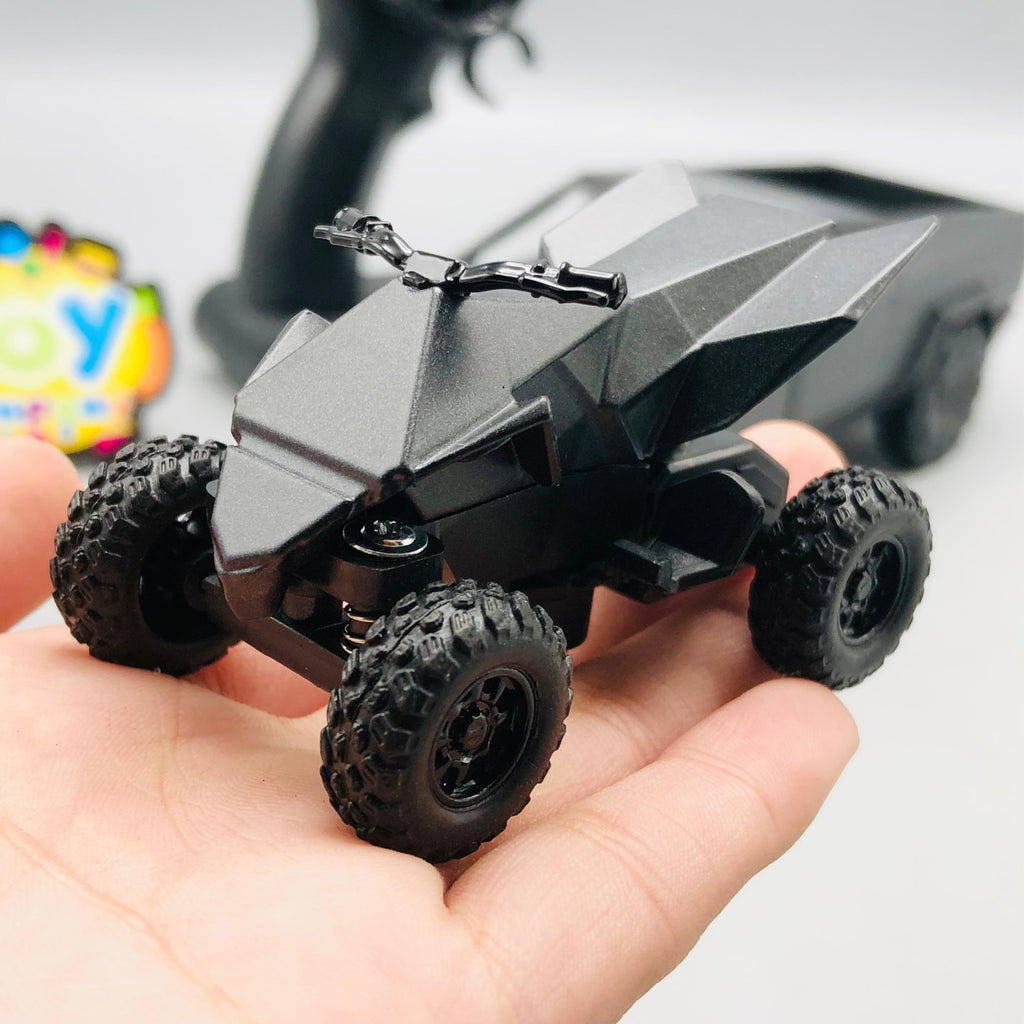 1:24 RC Diecast Tesla Model With Quad Bike